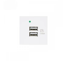 Модуль USB зарядний 2×USB-A 5V/2.1A Smartdust SK-M130